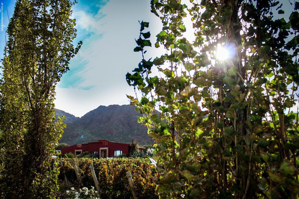 Miraluna Bodega Boutique Cachi Luaran gambar