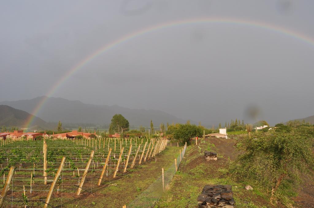 Miraluna Bodega Boutique Cachi Luaran gambar