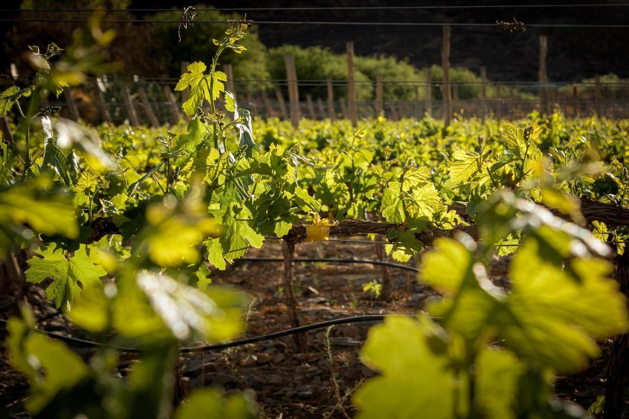Miraluna Bodega Boutique Cachi Luaran gambar