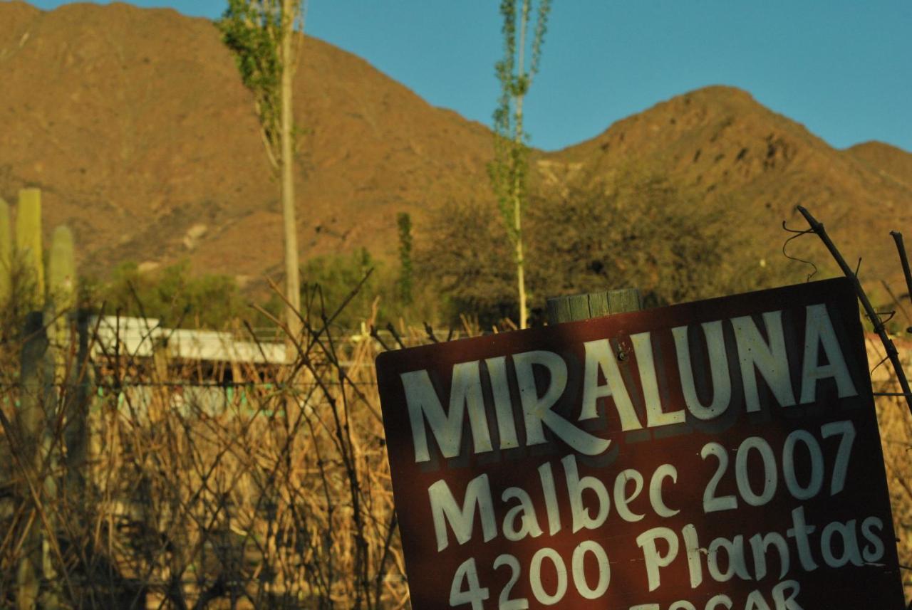 Miraluna Bodega Boutique Cachi Luaran gambar